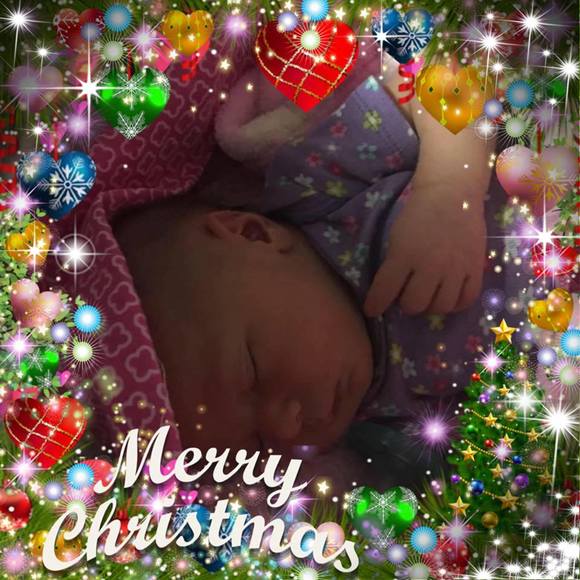 Meet your Posher, Molly - Picture 1 of 1